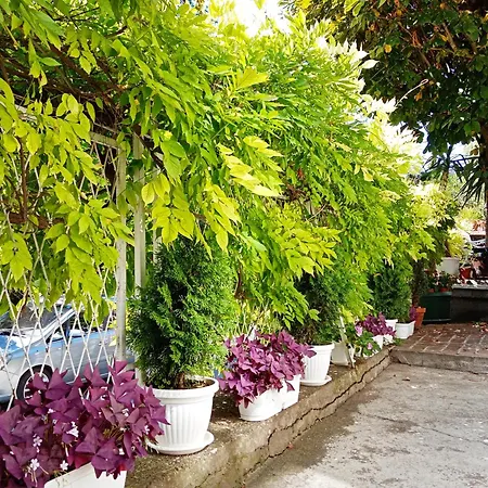 Happy Garden
