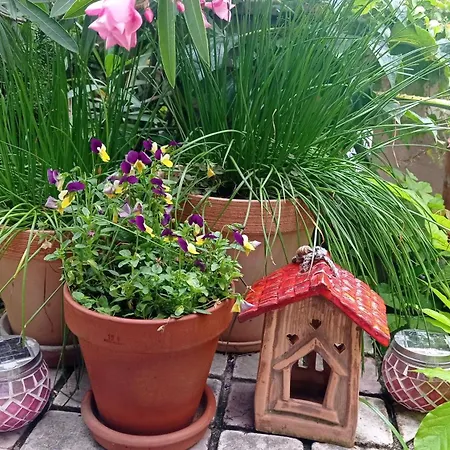 Happy Garden Bělehrad