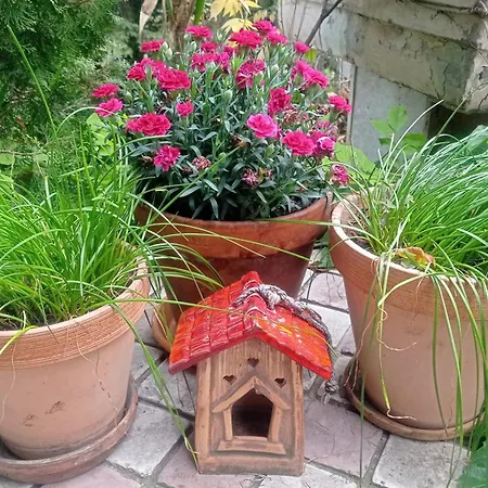 Happy Garden